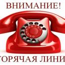 Горячая линия