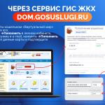 Фотодокумент 247