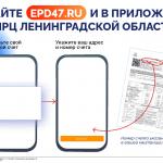 Фотодокумент 240